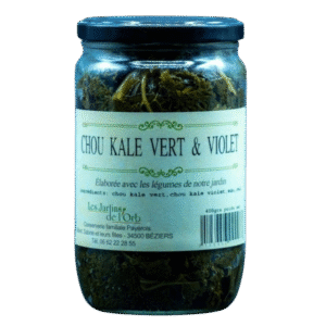 bocal de chou kale vert et violet